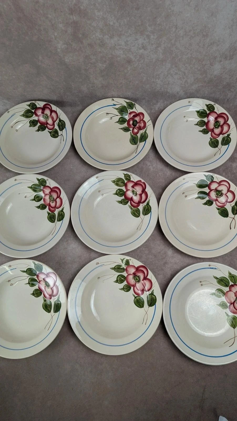 Set of 9 Sarreguemines Liliane model hollow plates – photo 3